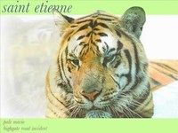 pochette album Highgate road incident