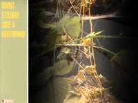 pochette album You know i'll miss you when you're gone