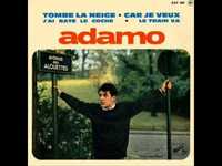 pochette album Car je veux