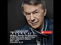 pochette album Des mots dans le vent