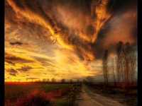 pochette album Reading mind