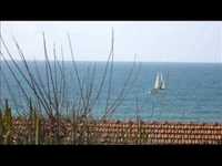 pochette album Where is the love