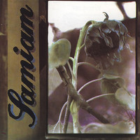 pochette album Television