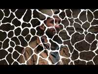 pochette album Mr. wonderful