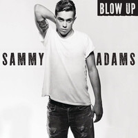 pochette album Blow up