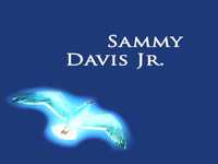 pochette album Hey there