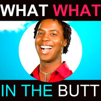 pochette album What what (in the butt)