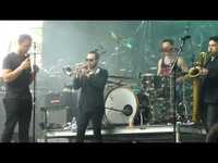 pochette album The woods