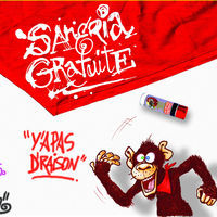 pochette album Bernadette