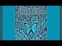 pochette album Borboletta