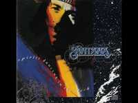 pochette album It's a jungle out there