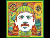 pochette album Mal bicho