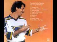 pochette album Song for my brother