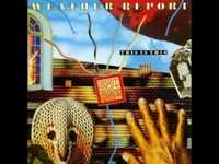 pochette album This is this