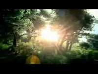 pochette album Shine