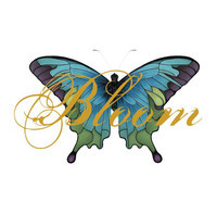 pochette album Fumbling towards ecstasy