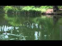 pochette album Close to you