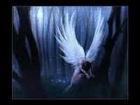 pochette album Solo un motivo