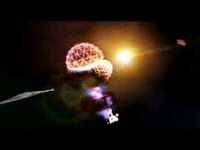 pochette album Wish upon a dog star