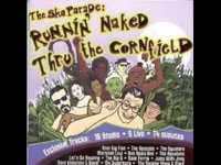 pochette album S.y.l.s.b