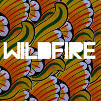 pochette album Wildfire