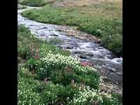 pochette album Better off without me