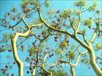 pochette album Staysha brown