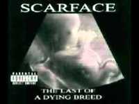 pochette album The gangsta shit