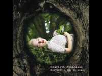 pochette album Fannin' street