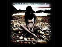 pochette album Shallow