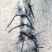 pochette album Goodbye