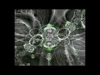 pochette album The beginning