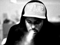 pochette album Funkmaster flex freestyle