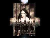 pochette album Timid try