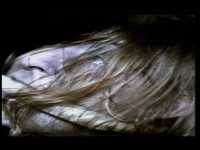 pochette album Friend of mine