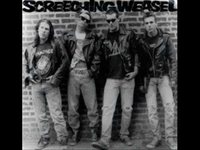 pochette album Hey asshole