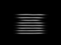 pochette album Stupid dumb and hyphy