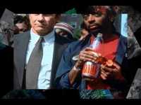 pochette album Bird of freedom