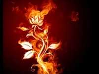 pochette album Blues in 'e'