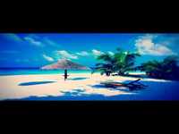 pochette album How we survive