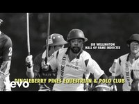 pochette album Bbq sauce