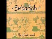 pochette album Mr. genius eyes