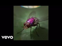 pochette album Dark river