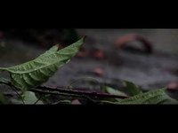 pochette album Damnesia