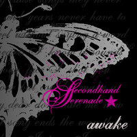 pochette album Awake