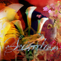 pochette album Cast no shadow