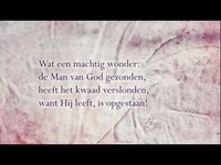 pochette album Machtig wonder