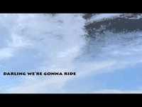 pochette album The horse is alive