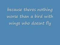 pochette album American death