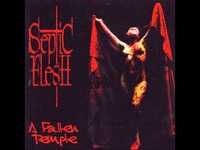 pochette album Brotherhood of the fallen knights